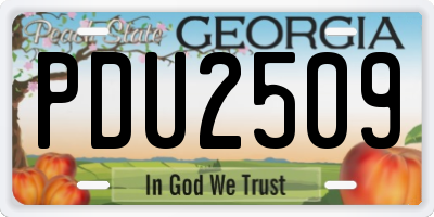 GA license plate PDU2509