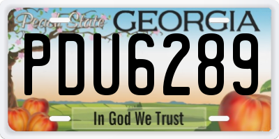 GA license plate PDU6289