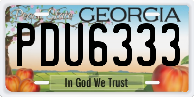 GA license plate PDU6333