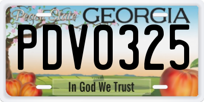 GA license plate PDV0325