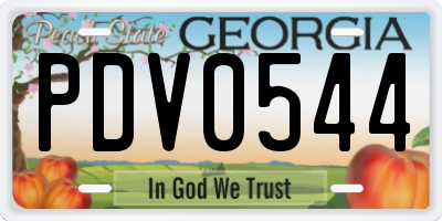 GA license plate PDV0544