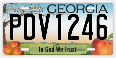 GA license plate PDV1246