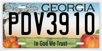 GA license plate PDV3910