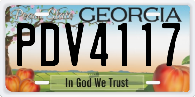 GA license plate PDV4117