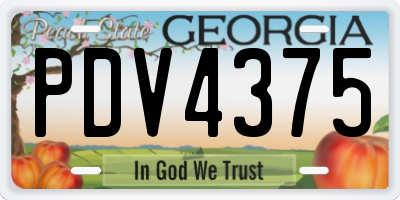 GA license plate PDV4375