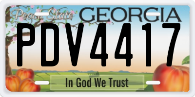 GA license plate PDV4417
