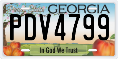 GA license plate PDV4799