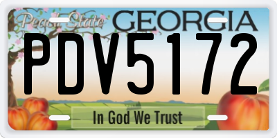 GA license plate PDV5172