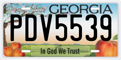 GA license plate PDV5539