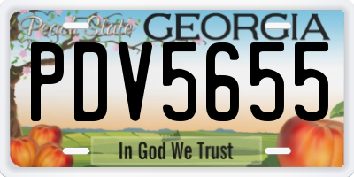 GA license plate PDV5655