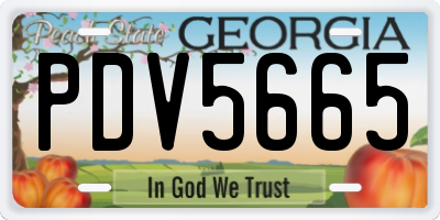 GA license plate PDV5665