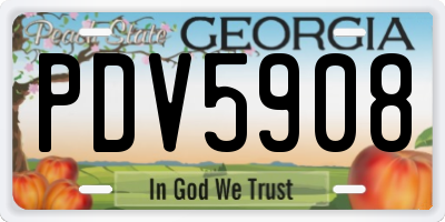 GA license plate PDV5908
