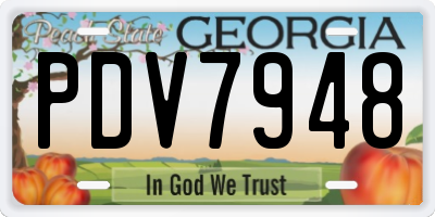 GA license plate PDV7948
