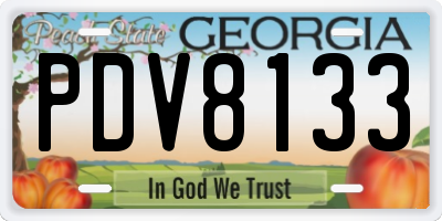 GA license plate PDV8133