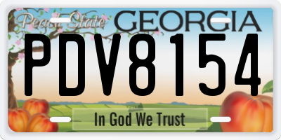 GA license plate PDV8154