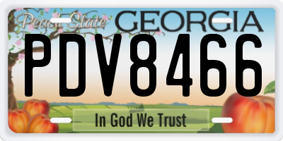 GA license plate PDV8466