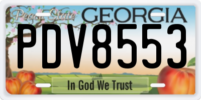 GA license plate PDV8553