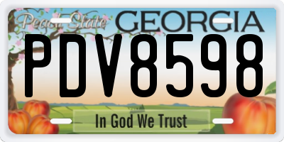 GA license plate PDV8598