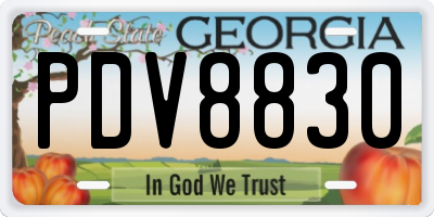 GA license plate PDV8830