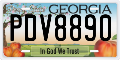 GA license plate PDV8890