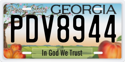 GA license plate PDV8944