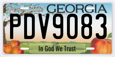 GA license plate PDV9083