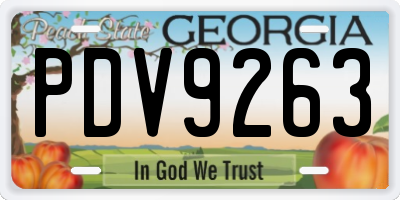 GA license plate PDV9263