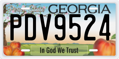 GA license plate PDV9524