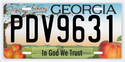 GA license plate PDV9631