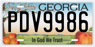 GA license plate PDV9986