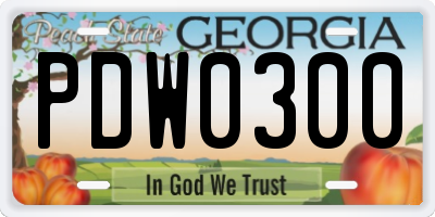 GA license plate PDW0300