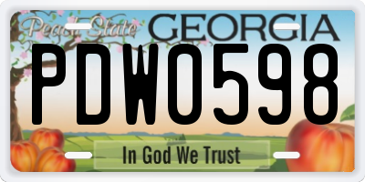 GA license plate PDW0598