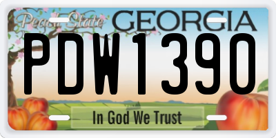 GA license plate PDW1390