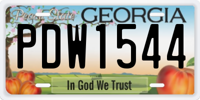 GA license plate PDW1544