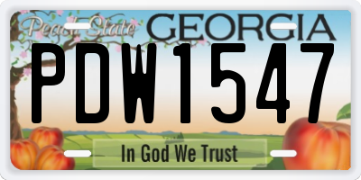 GA license plate PDW1547