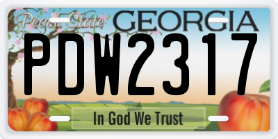 GA license plate PDW2317