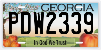 GA license plate PDW2339