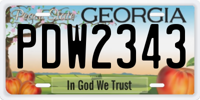GA license plate PDW2343