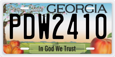 GA license plate PDW2410