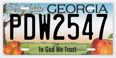 GA license plate PDW2547