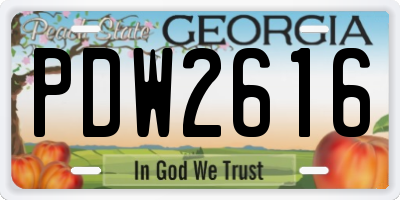 GA license plate PDW2616