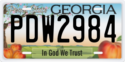 GA license plate PDW2984