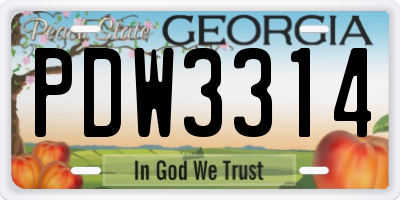 GA license plate PDW3314