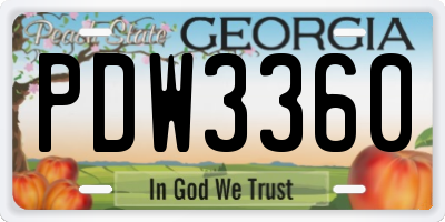 GA license plate PDW3360