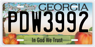 GA license plate PDW3992