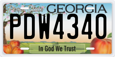 GA license plate PDW4340