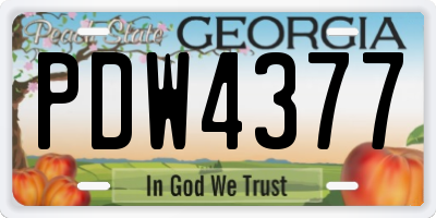 GA license plate PDW4377