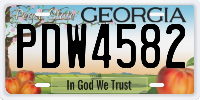 GA license plate PDW4582