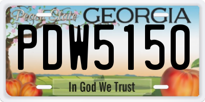 GA license plate PDW5150