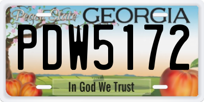 GA license plate PDW5172